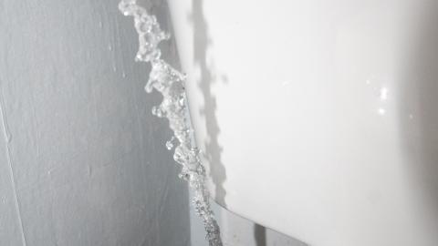 TICK...(2 Days In + 8 Days In...) - IMG_9263.JPG