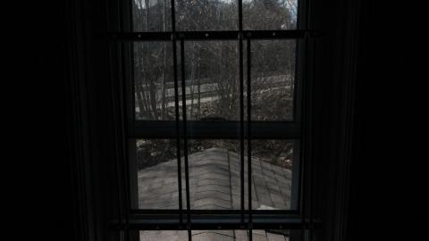 TICK...(2 Days In + 8 Days In...) - IMG_9254.JPG