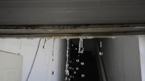 TICK...(2 Days In + 8 Days In...) - IMG_9247.JPG