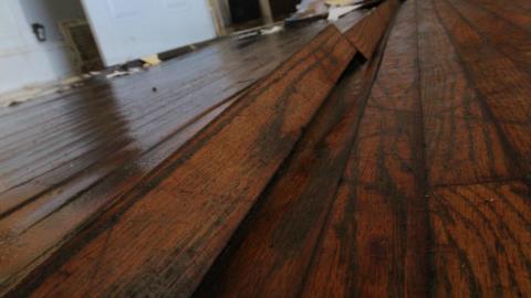 TICK...(2 Days In + 8 Days In...) - IMG_9244.JPG