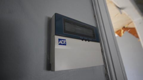 TICK...(2 Days In + 8 Days In...) - IMG_9242.JPG