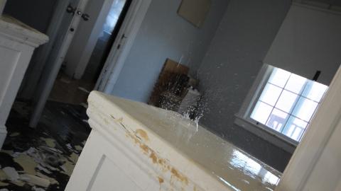 TICK...(2 Days In + 8 Days In...) - IMG_9234.JPG