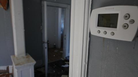 TICK...(2 Days In + 8 Days In...) - IMG_9231.JPG