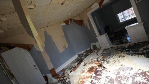 TICK...(2 Days In + 8 Days In...) - IMG_9230.JPG