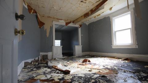 TICK...(2 Days In + 8 Days In...) - IMG_9228.JPG