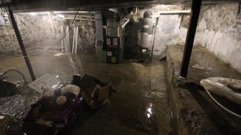 TICK...(2 Days In + 8 Days In...) - IMG_9690.JPG