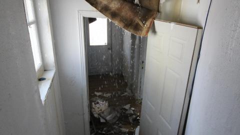 Photo from TICK...(2 Days In + 8 Days In...)