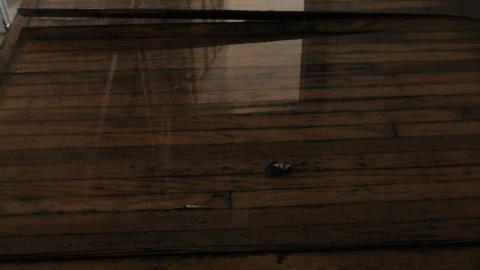 Photo from TICK...(2 Days In + 8 Days In...)