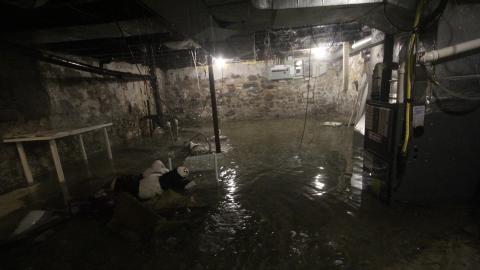 TOCK...(+1 Month In...) - IMG_1138.JPG