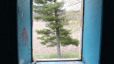 Photo from Mostly Just Window Shots