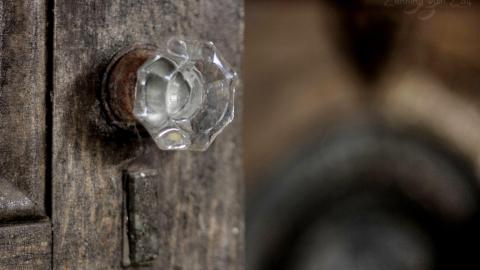 October 2019 - Collages15.jpg