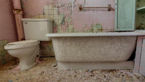 October 2019 - Collages42.jpg