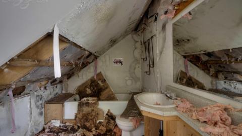 October 2019 - Collages52.jpg