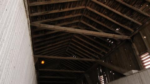 A True Beaut (But A Bit Worse For Wear) - IMG_0198.JPG