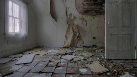 October 2019 - Collages28.jpg