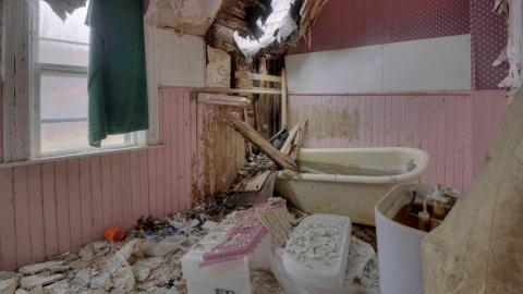 October 2019 - Collages29.jpg