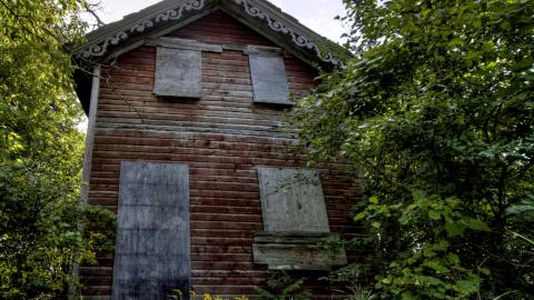 September 2020 - Collages21.jpg