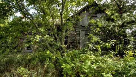 September 2020 - Collages22.jpg