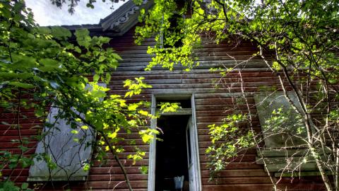 September 2020 - Collages.jpg