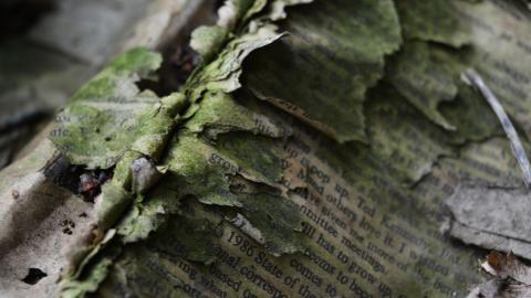 Crazy Freds - February 2013 - 2.jpg