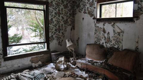 Photo from Crazy Freds - February 2013