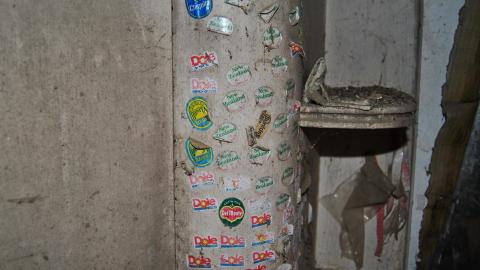 Photo from Crazy Freds - February 2013