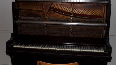 Anguishing Anglican - 04 (1).jpg