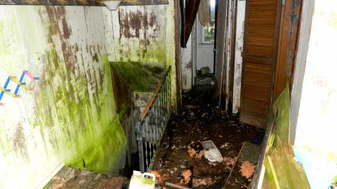 April 2021 - 20210419_174631.jpg