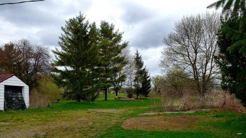 April 2021 - 20210418_164716.jpg