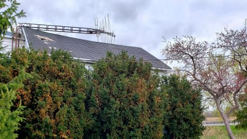 April 2021 - 20210418_165032.jpg