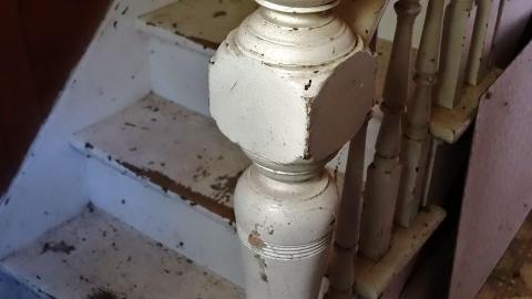 Grandpa Loves Corn Flakes Oct '20 - DSC04387.JPG