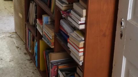 Photo from Grandpa Loves Corn Flakes Oct '20