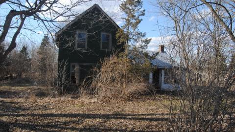 March 2013 - DSC_0339.JPG