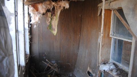 March 2013 - DSC_0340.JPG