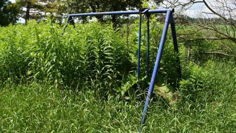 Photo from Toy Story