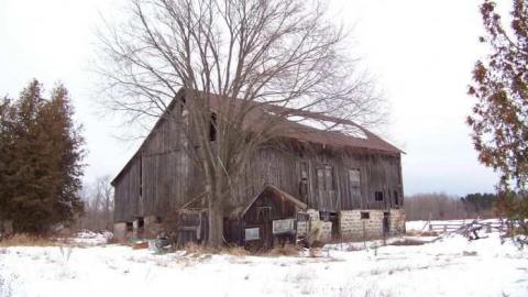 Old Farm - Old-Farm49.jpg