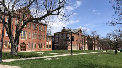 Where da tunnels at?? - 7BDC77A6-9596-459B-B12F-2E3F9E7F003A.jpeg