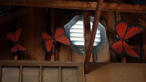 Kennedy's Oct '20 - DSC05567.JPG