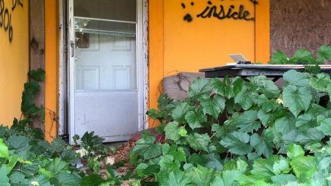 August 2020 - 118285438_162848188772836_1355487825185000850_n.jpg