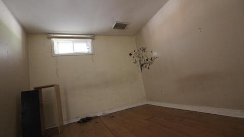 Sydney's Backyard Bash photo 3