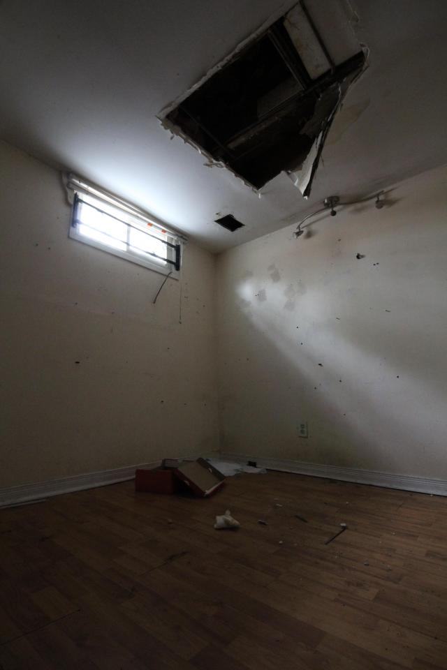 Sydney's Backyard Bash photo 4