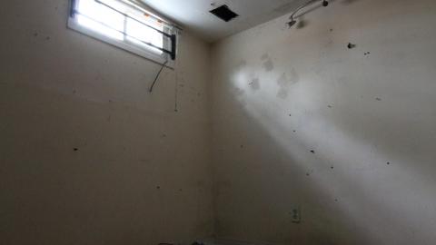 Sydney's Backyard Bash photo 4