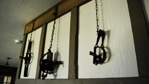 Roll The Dice - 11.jpg