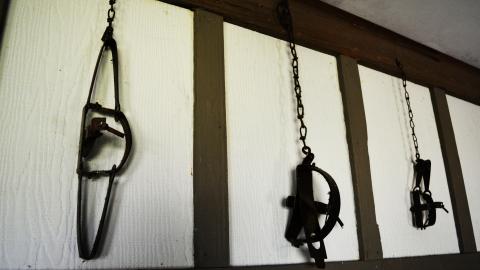 Roll The Dice - 12.jpg