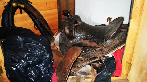 Roll The Dice - 23.jpg