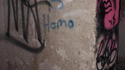 May 11th 2019 - B96C1350-278F-4EE3-BD04-4F3237FC408C.jpeg