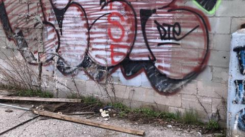 May 11th 2019 - 55DB303F-C537-432D-B3D1-26AE3E4E3B07.jpeg