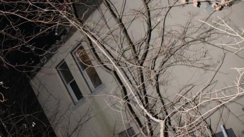 Injunction Night - IMG_4033.JPG