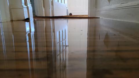 Cut the Red Wire!! (1 Week in) - 1_20210319_155254.jpg