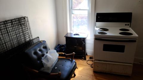 Cut the Red Wire!! (1 Week in) - 1_20210319_155714.jpg